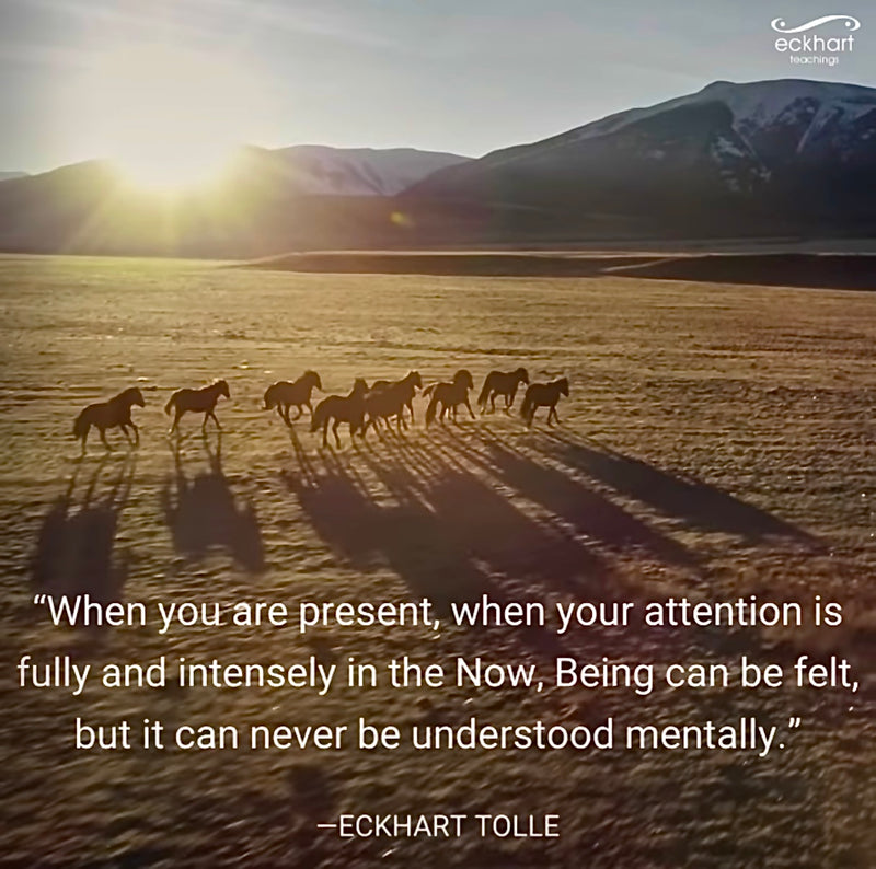 Present Moment Reminder: Being Can Be Felt