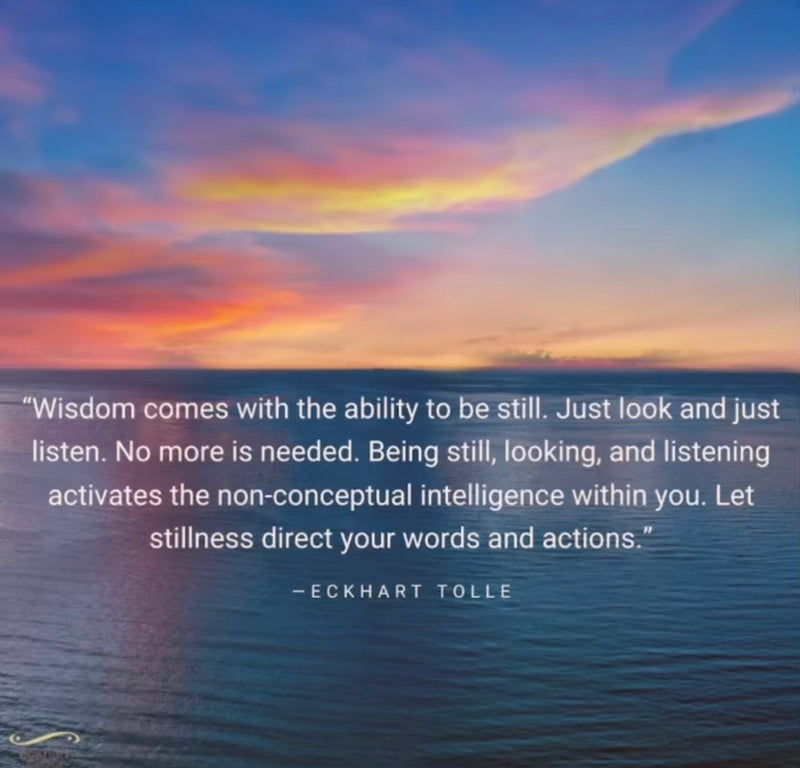 Present Moment Reminder: WISDOM