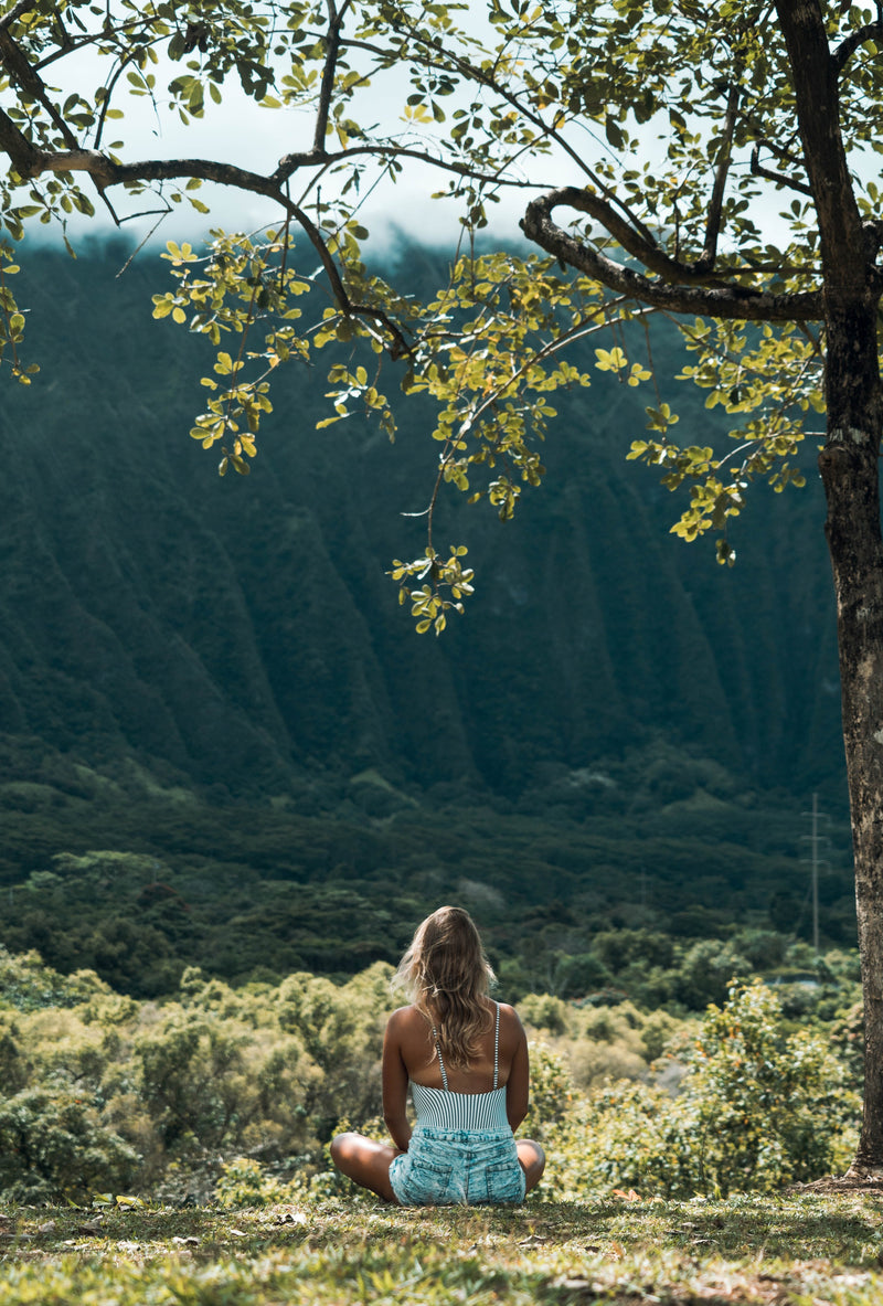 What Wellness means and Understanding It: A Holistic Approach to a Balanced Life